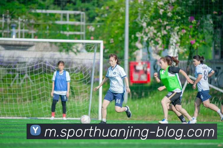 冠竞体育发展历程